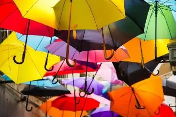 Umbrellas do more than keep the rain away