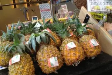 There are also delicious looking pineapples. These pineapples are quite smaller in size than normal pineapples.