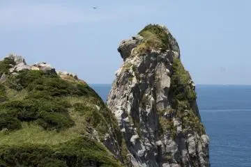 Iki Island