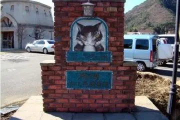 邪恶猫咪美术馆