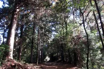 Shrine surroundings