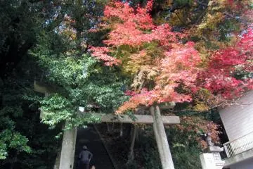 Entrance torii in Autumn