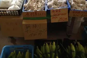 Garlic, rice, corn sweet as candy