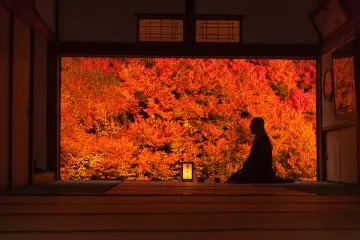 As time went by and the sun set, the garden was lit and the color turned even more vibrant