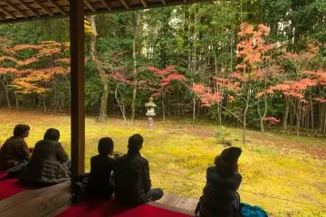 Relaxing in the maple garden. It's so calming.