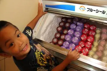 <p>Your kids will like the cake, fruit, soft serve and Blue Seal ice cream - mine did</p>