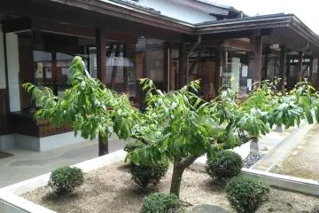 Bizen Osafune Sword Museum’s Deadly Beauties 