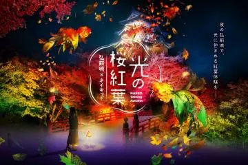 Hikari no Sakura-Momiji 2020
