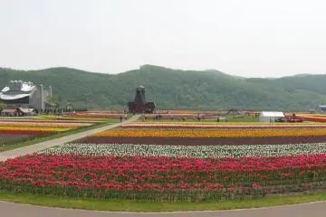 The Kamiyubetsu Tulip Park