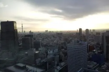 The early-bird catches Tokyo Skytree and the awakening city at dawn.