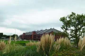 Pampas grass amidst a futuristic metropolis takes us back to earth