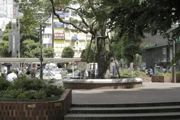 A small areas is available outside to rest in the shade before or after shopping