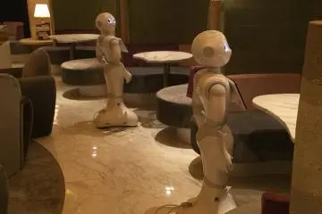 'Seat-sharing Pepper' per table can only interact in Japanese.