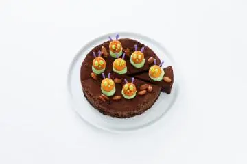 Hungry Caterpillar themed chocolate gateaux