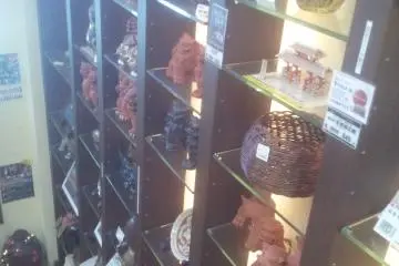 도기들