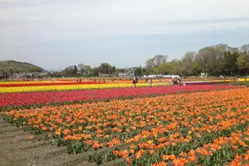 One of the joys of spring!