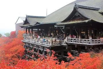 Kiyomizu burns bright in autumn (Photo: <a href="https://commons.wikimedia.org/wiki/File:Kiyomizu_Dera_In_Autumn_(245582905).jpeg" target="_blank" rel="noreferrer noopener nofollow">Siegfried Ehret</a> / <a href="https://creativecommons.org/licenses/by-sa/3.0/deed.en" target="_blank" rel="noreferrer noopener nofollow">CC BY-SA 3.0</a>)