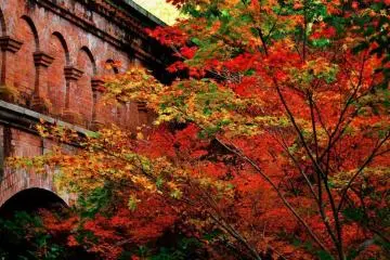 Nanzen-ji's famous brick arches (Photo: <a href="https://en.japantravel.com/kyoto/miyabi-subtle-beauty-of-nanzenji/16169" target="_blank" rel="noreferrer noopener nofollow">Masayoshi Hirose</a> / JT)