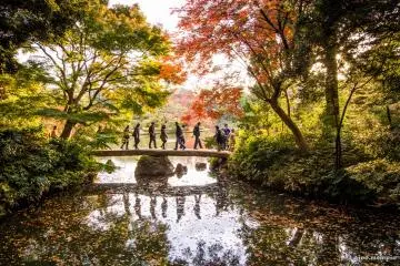 Bunkyo City Ward - Parks & Gardens