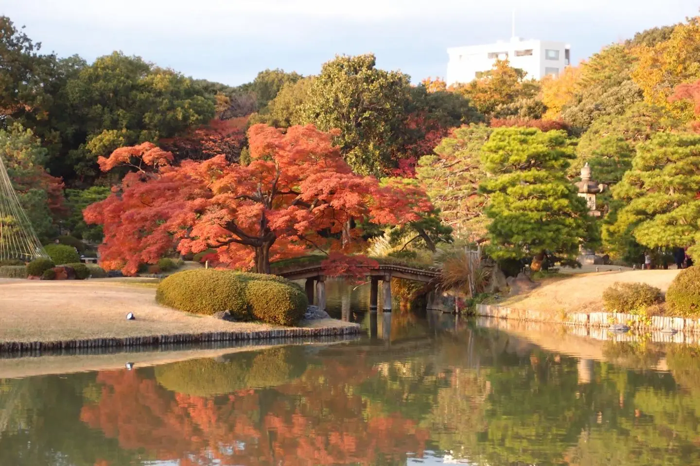 Rikugien Garden (Photo: Guilhem Vellut  / CC BY 2.0)