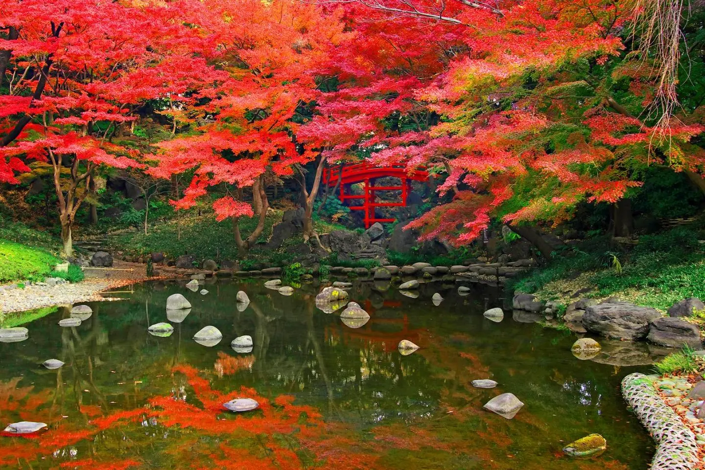 Koishikawa Korakuen Garden (Photo: 公益財団法人 東京都公園協会  / CC BY 4.0)