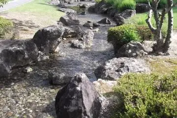 The garden is green and tranquil