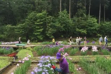 Maintaining the beauty