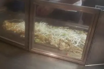 만드는 과정.