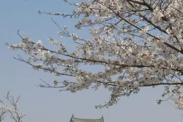 Sekiyado Castle