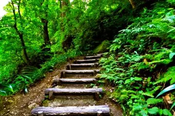 There are dozens of small (and not so small!) sets of steps leading to the summit.