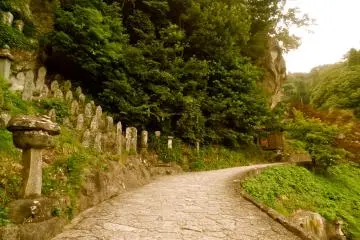 Paths lead to the summit.