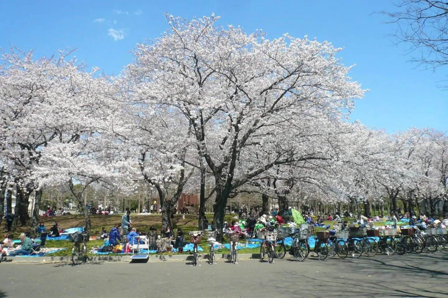 Shinozaki Park (저작권: Image by 真矢)