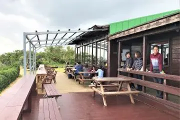 Curcuma cafe