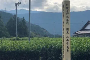 The commendation post for gifting green tea to the Emperor at the start of the Reiwa Era