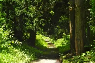 The paths around the tiny town make for a lovely stroll.