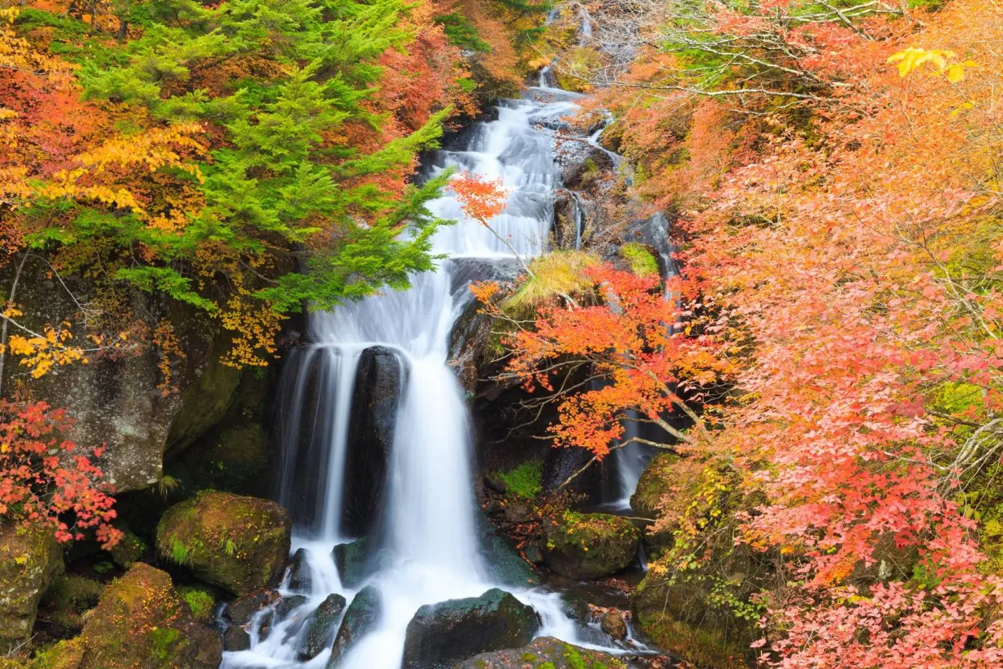 저작권: Singha B Verawatnapakul  / Shutterstock.com