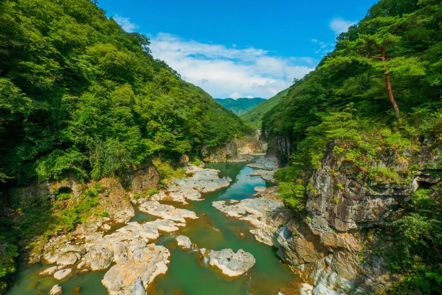 저작권: Mayumi.K  / Shutterstock.com