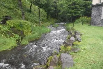 The stream in the museum grounds