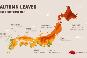 Photo: Japan Travel