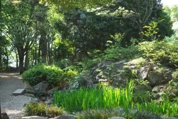 Heiwa no Mori Park