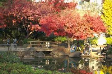 Arai Yakushi Park