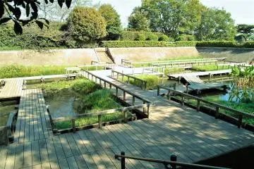 Tamagawadai Park (filtered)