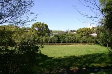 Denenchofu Seseragi Park