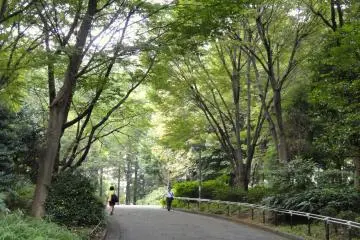 Shinjuku Central Park