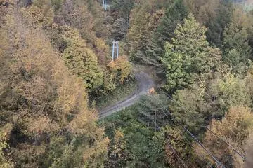 The breath-taking aerial view of the forest from almost 300m high