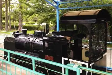 <p>Kid's train</p>