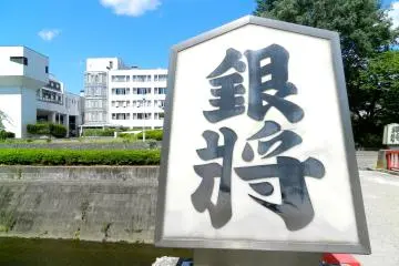The bridges are all labelled with giant shogi pieces.