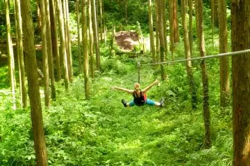 <p>รู้สึกเป็นอิสระยามบินผ่านต้นไม้</p>