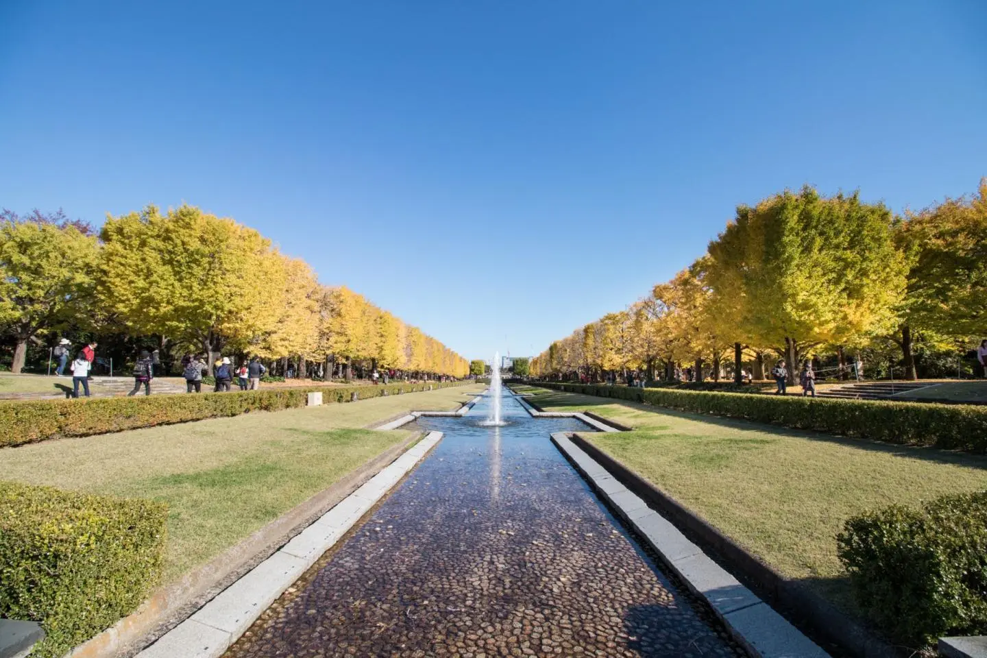 Showa Kinen Park (Photo: Kakidai / CC BY-SA 4.0)