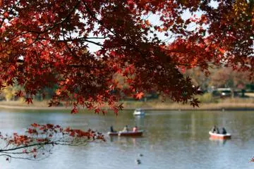 Akishima City - Parks & Gardens
